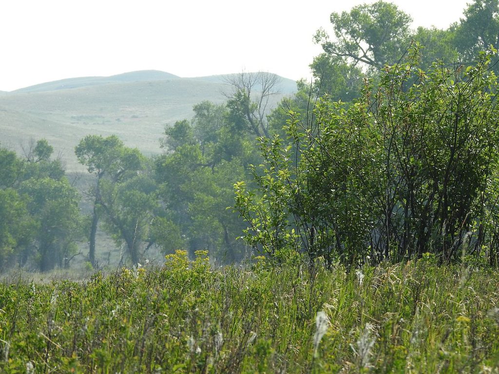 Wildfire smoke rolling in.