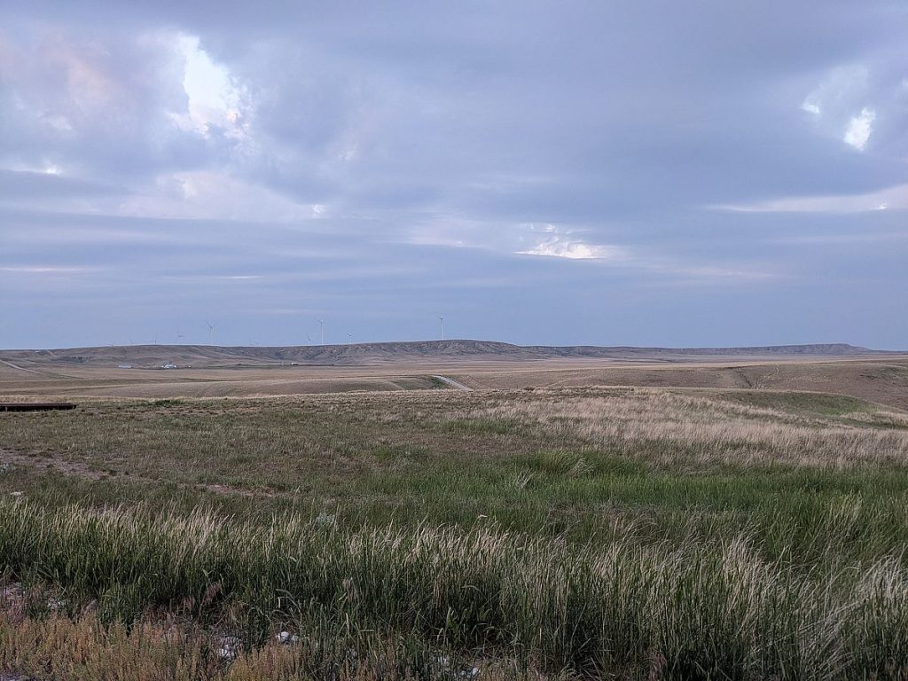 Grasshopper sparrow habitat above the Marias River badlands.
