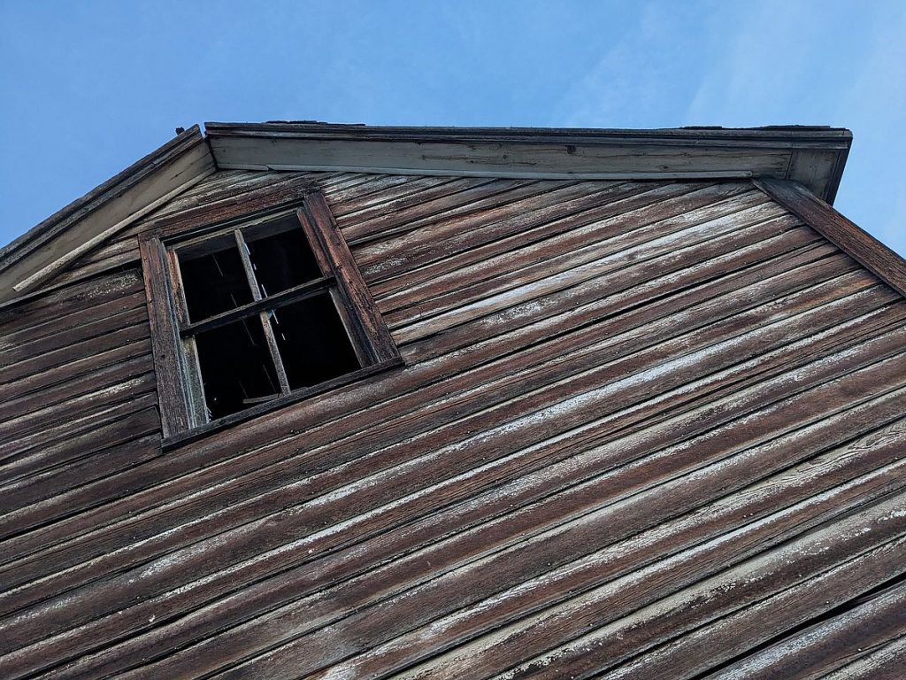 American barn owl habitat? The old homestead.