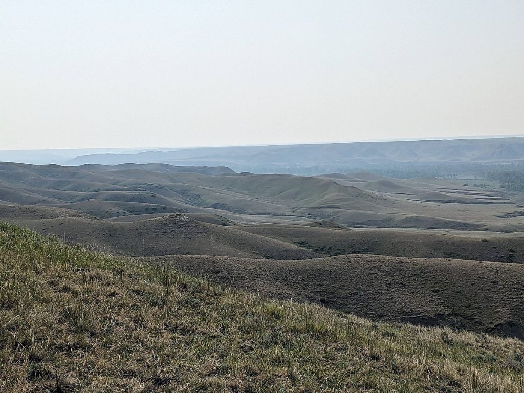 The ribbon of cottonwood forest along the Marias River fades into smoke, surrounded by badlands.