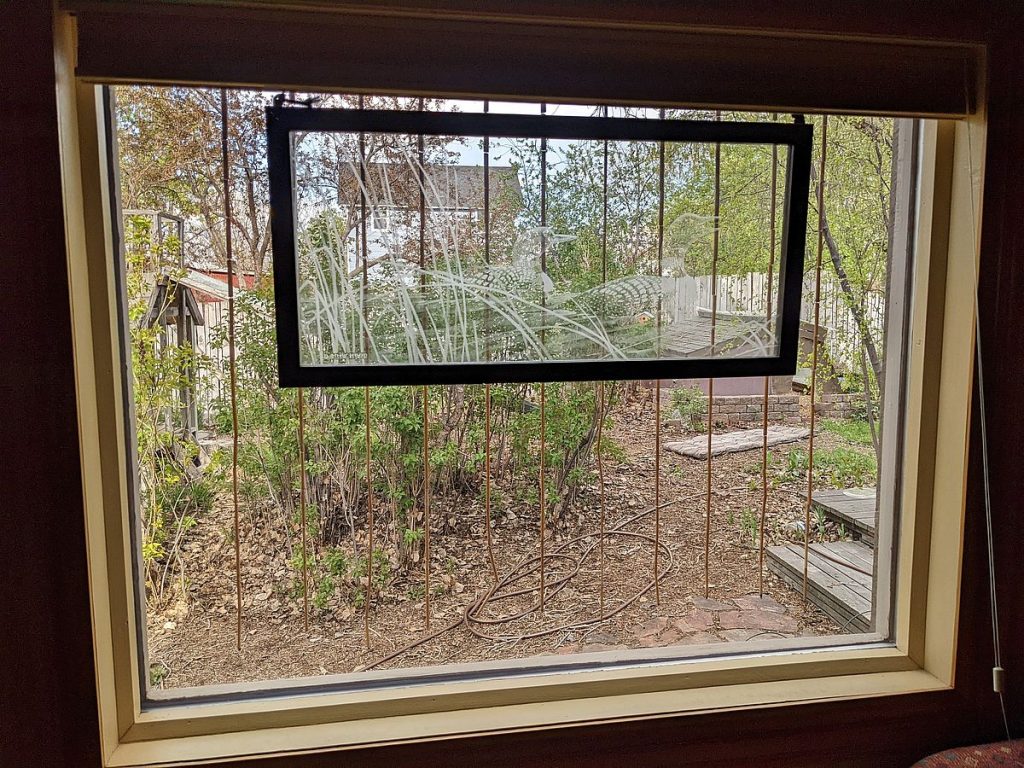 Ruth Swenson's bamboo curtain-style Acopian BirdSavers make her windows safer for birds and are also aestheticially pleasing.
