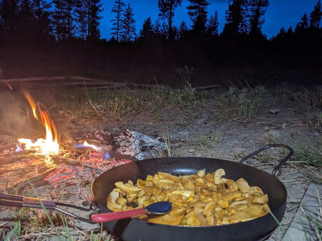 Camping with oyster mushrooms.