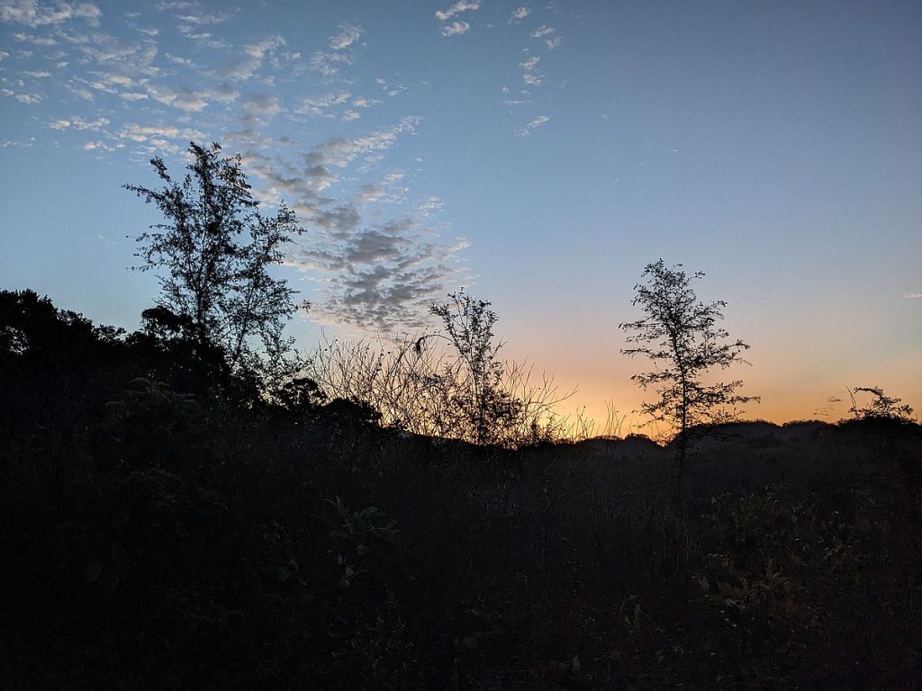 Dawn, April 1st.