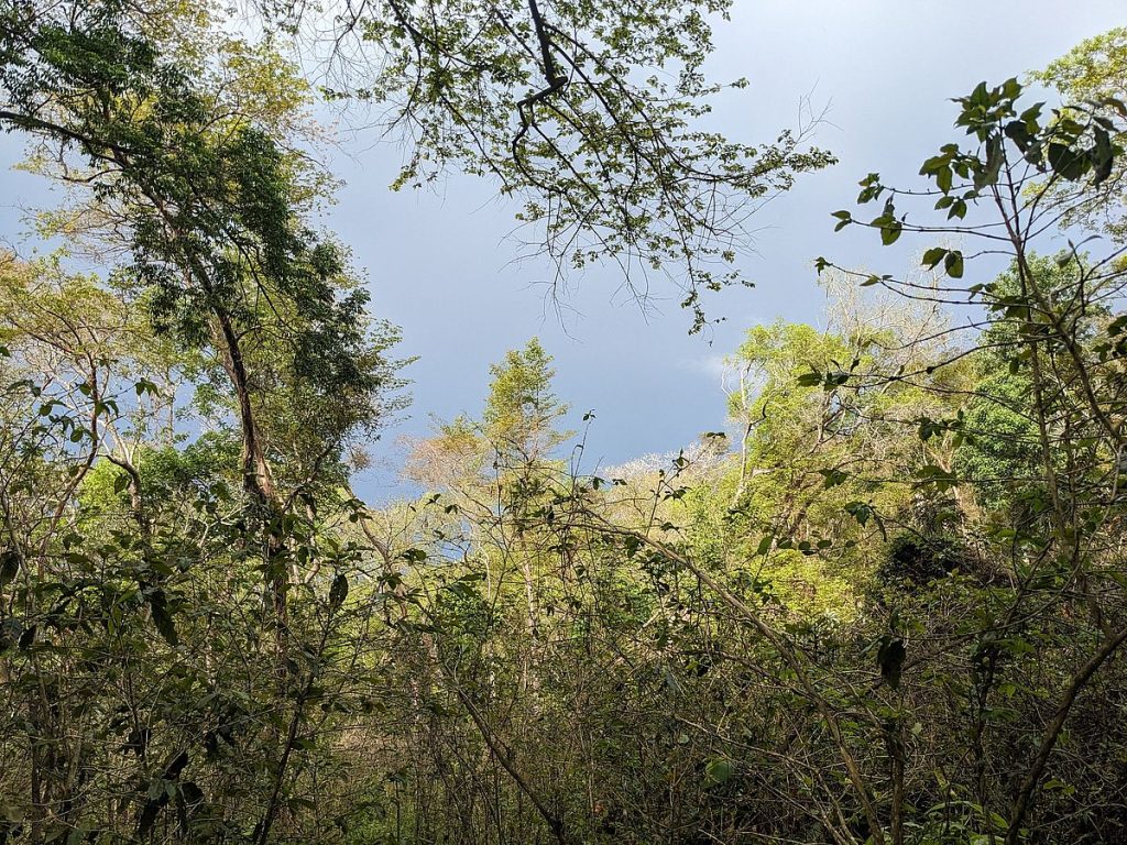Summer rain approaching the tropical forest at the edge of Oaxaca's Sierra Sur.