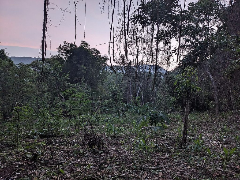 Dusk.