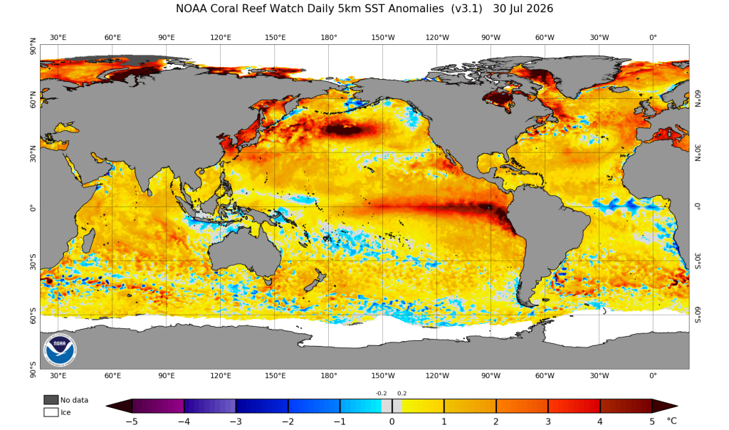 Sea surface temperature anomalies: how different the temperature is from the average for this time of year. Map for July 30, 2026, courtesy of the National Oceanic and Atmospheric Administration.