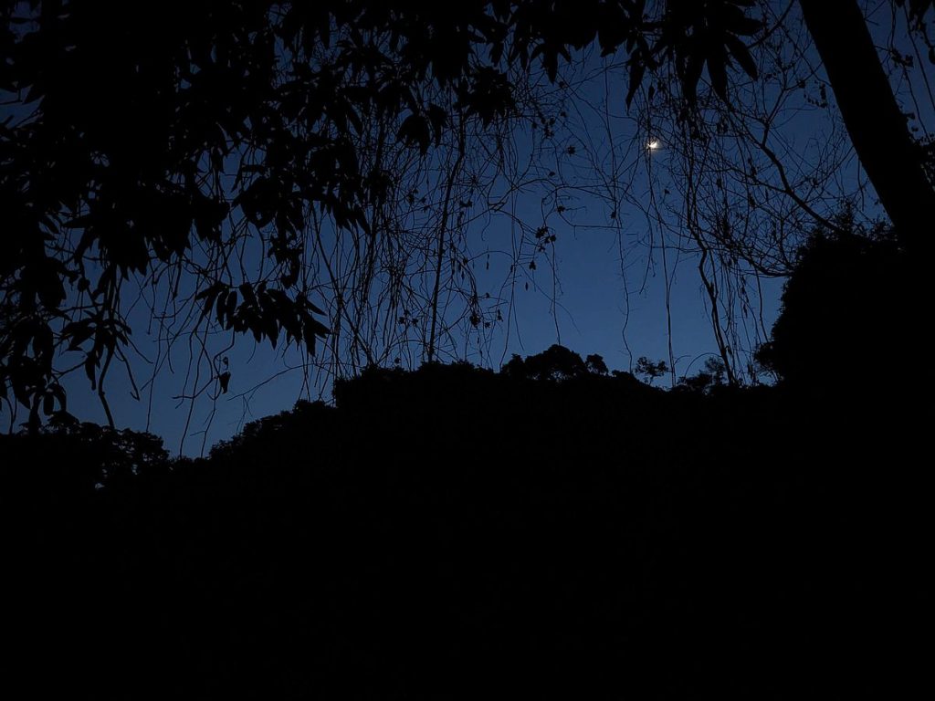 Pre-dawn at the terreno.