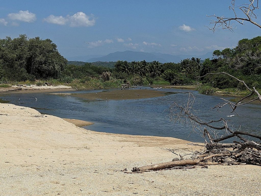 Mudflats at low tide in the Río Coyula.