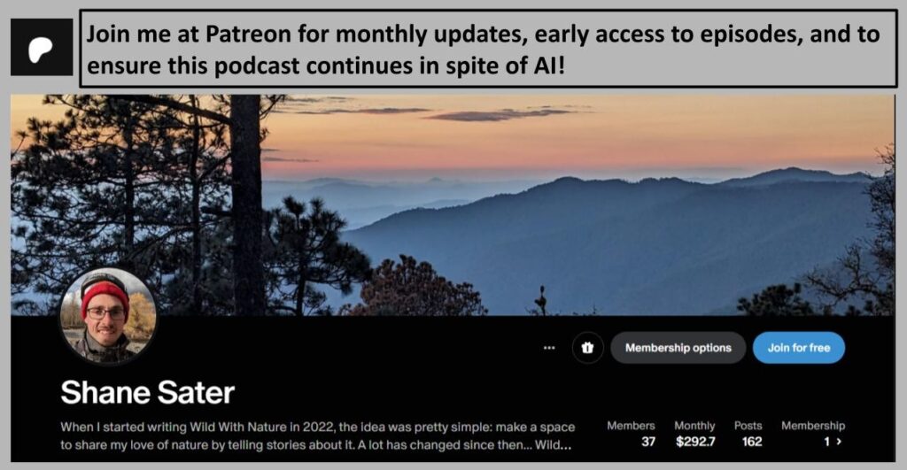 Wild With Nature - Patreon